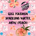 QDOL POKEMON SPARKLING WATER MEW PEACH  - Rocket Fuel Snack