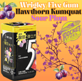  Wrigley Five Gum Hawthorn Kumquat Sour Plum - Rocket Fuel Snack 